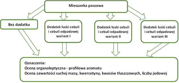 schemat etapu 1 badań