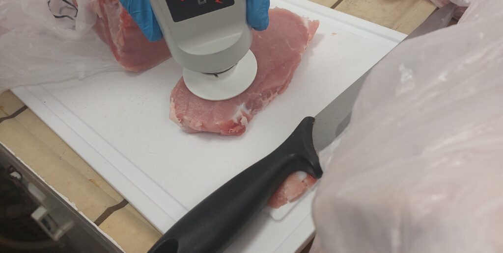 aparat do pomiaru barwy przyłożony do kawałka mięsa