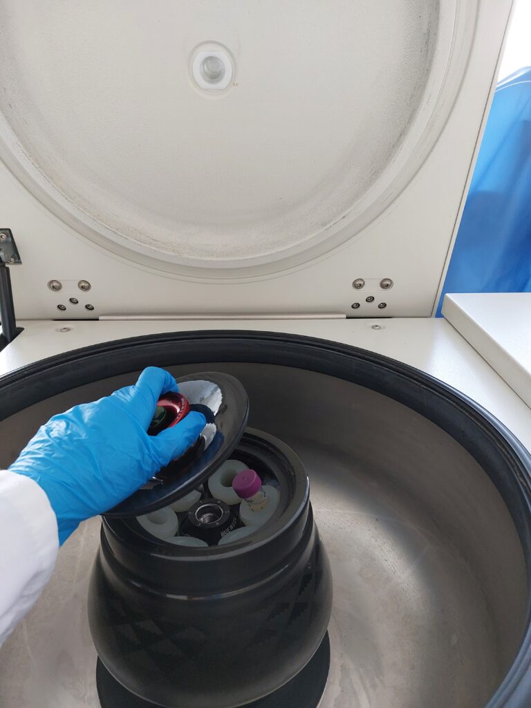 ręka osoby wkładającej probówkę do wirówki